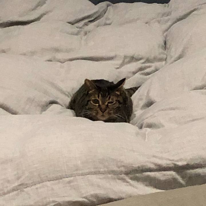 06680b0e 6ec5 456f 98d3 d410d476849b 1552409438482