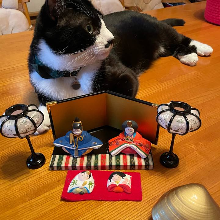 06682ebd 08b0 4b79 8de2 fc83bccc259c 1740967334174