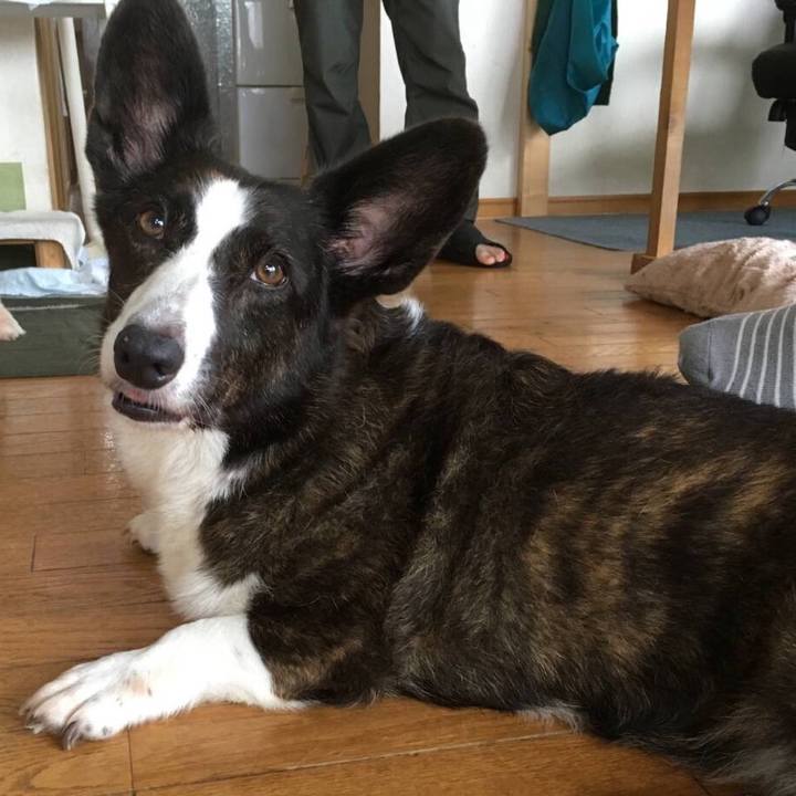 06688493 e97c 4de2 aa81 a2fcce894a1d 1567173987329