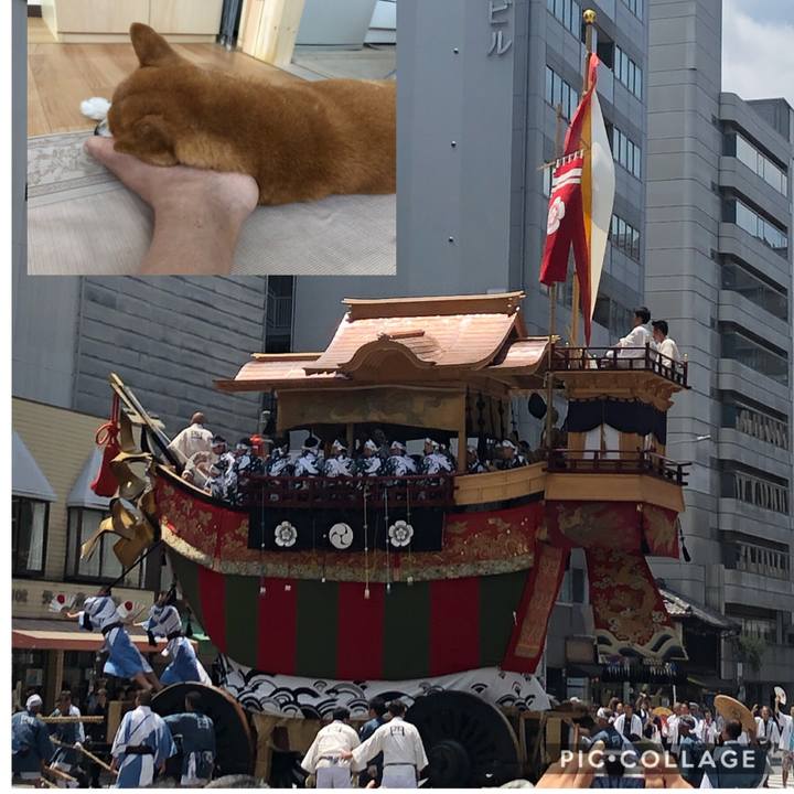 0668a243 1b2f 4909 abc8 9f7e04201a10 1564007781728