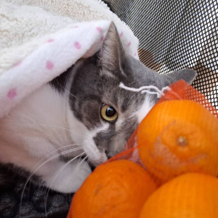 0668aea5 70fc 4780 ad41 dc7c70110ebd 1739942030673