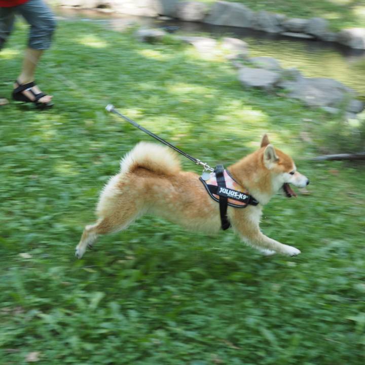 0668b8c3 b175 4d0e b2e9 7213e01717eb 1533036579817