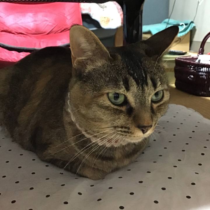 0668c1d1 74d2 49cd b9c1 fd2ae6dfe9d7 1656674283875