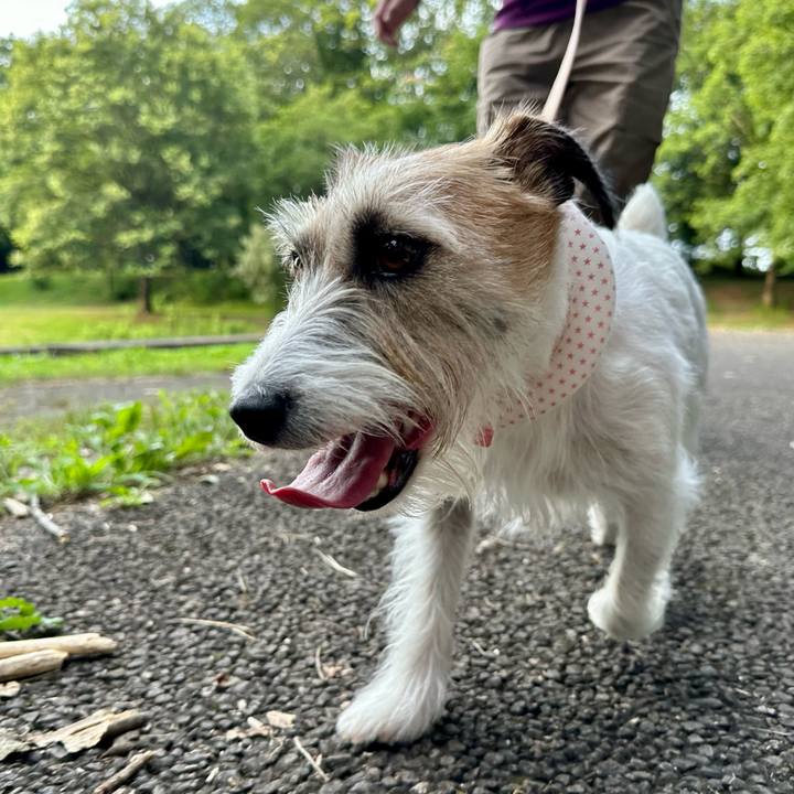 0668c7f5 d980 47c0 bd39 794a4cd80d3a 1688332359103