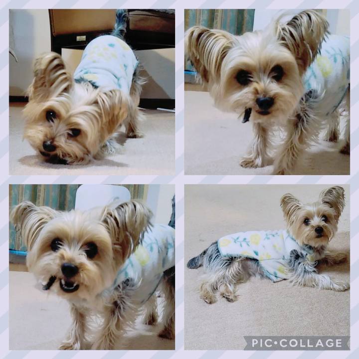 0668c870 8f27 4088 9f56 99048a86ee44 1644402577745