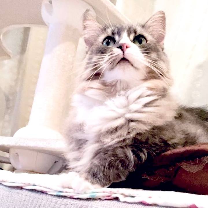 0668cb98 df66 4000 ad1d 33b422721d93 1695919388175