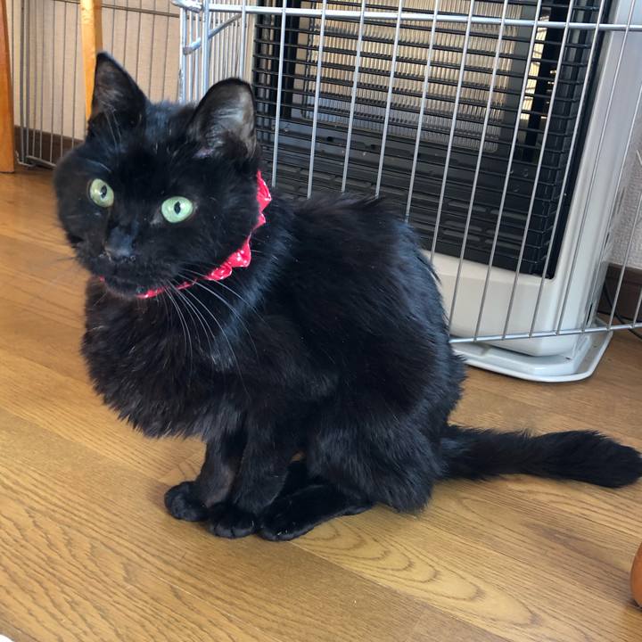 0668d24f 54c4 48f6 bc7a 8b13423d3800 1557349363343