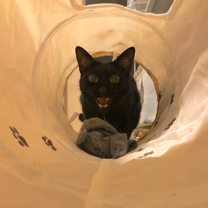 066909fb d675 4b59 a9f6 ca9d04ce4f45 1566476655923