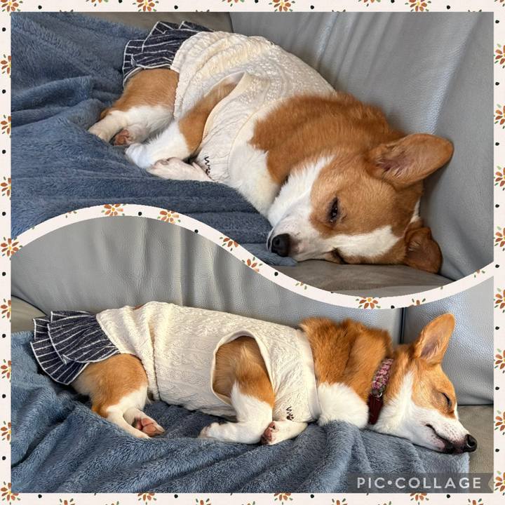 066926d9 a615 4e2e 84d4 3641d6252225 1763508708684