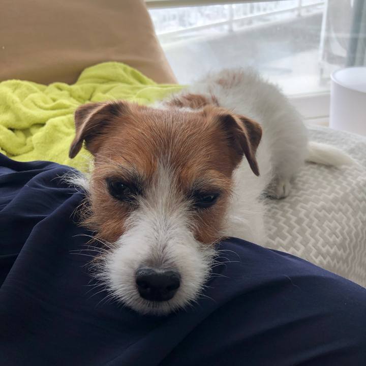 066935bc ea84 4572 8f2a 5a2df9450143 1620641566684