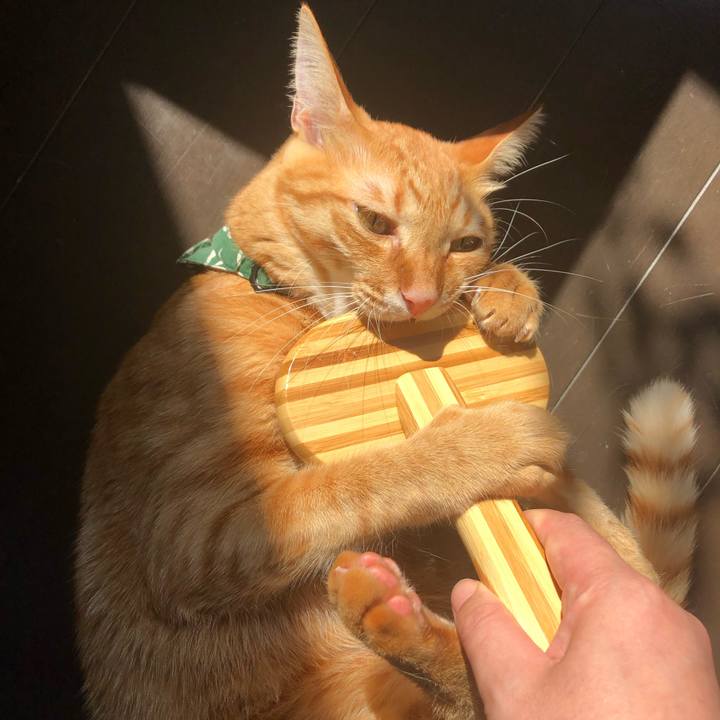 06693933 193d 483c 837d fab449f09d55 1632523100460