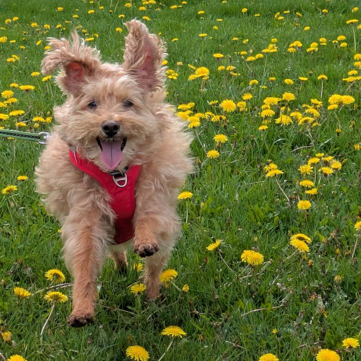 06693fbe a9f3 4af5 8ef8 80a58ccce9bf 1747645395749