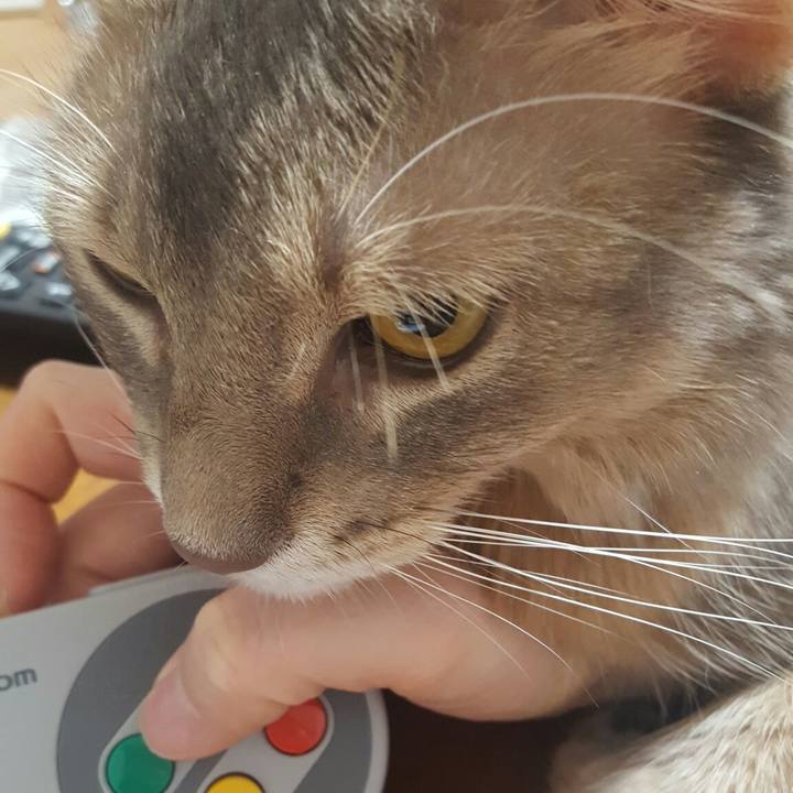 066953f9 0829 4871 ab13 a29331854c99 1570627209660