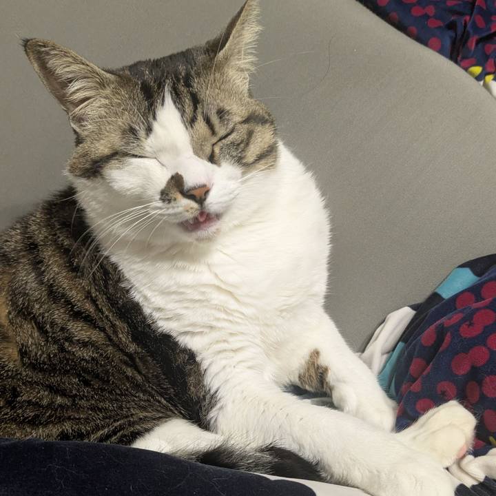 0669e132 cfe6 4e73 a1e4 1967da19c383 1737272955836