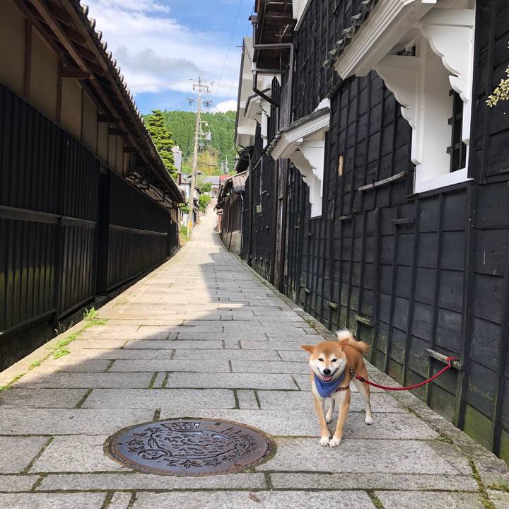 066a1fa1 1bc9 478e 9503 baf0bc590e20 1530429552386