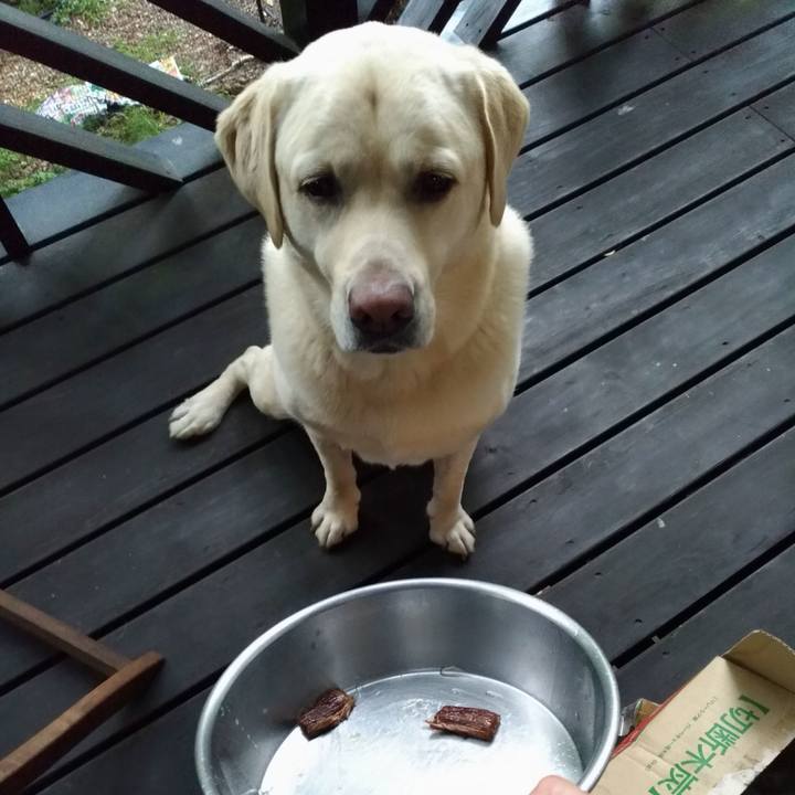 066a28da a4e9 415a afe4 3611f81da1a4 1628692650764