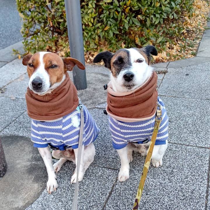 066a3a97 0458 4b99 ad98 a4a102323da0 1641336760961