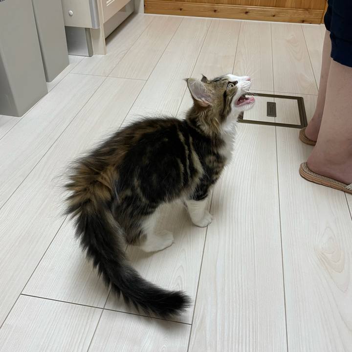 066a5993 a49c 49c6 9f77 06181edca302 1633248479302