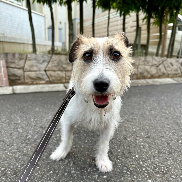 066a6eec dc98 46b5 807c 1f444b039acb 1726469062529