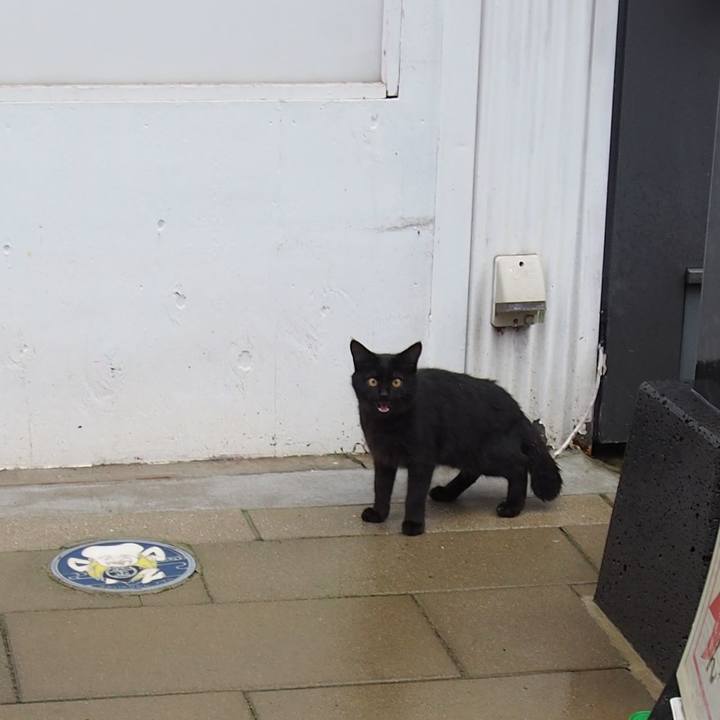 066a7577 e15b 4b4e 9f49 2d6eac3ad65e 1549418034451