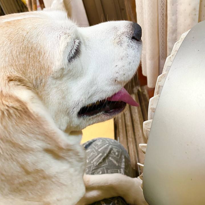 066a8007 6fc8 45f5 bf08 ee06cf0d74f5 1658286558016