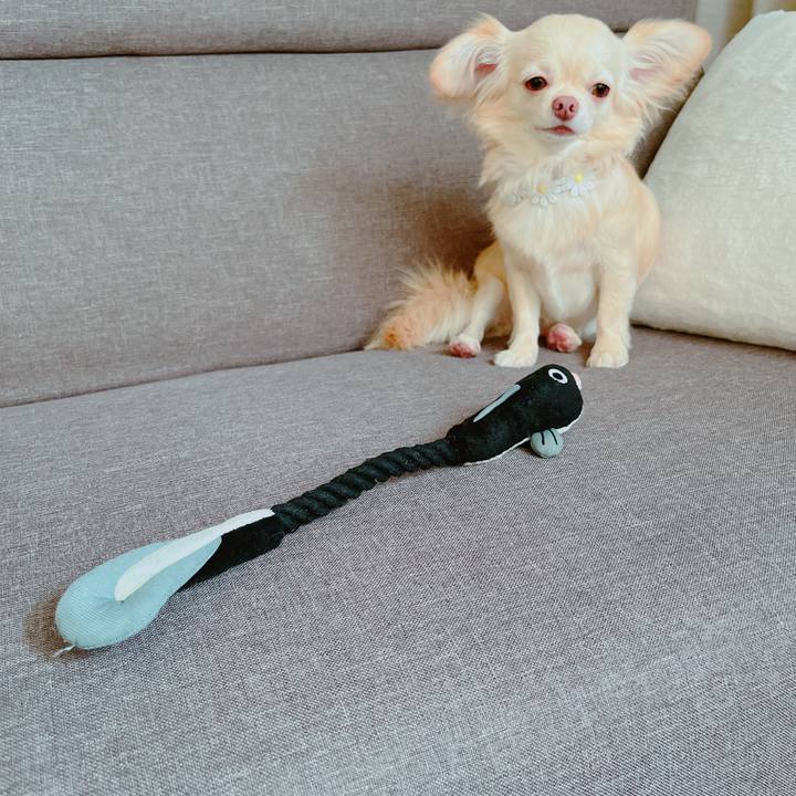 066a81bc 2d9d 4098 b63c 6f938a2483bb 1655709962995