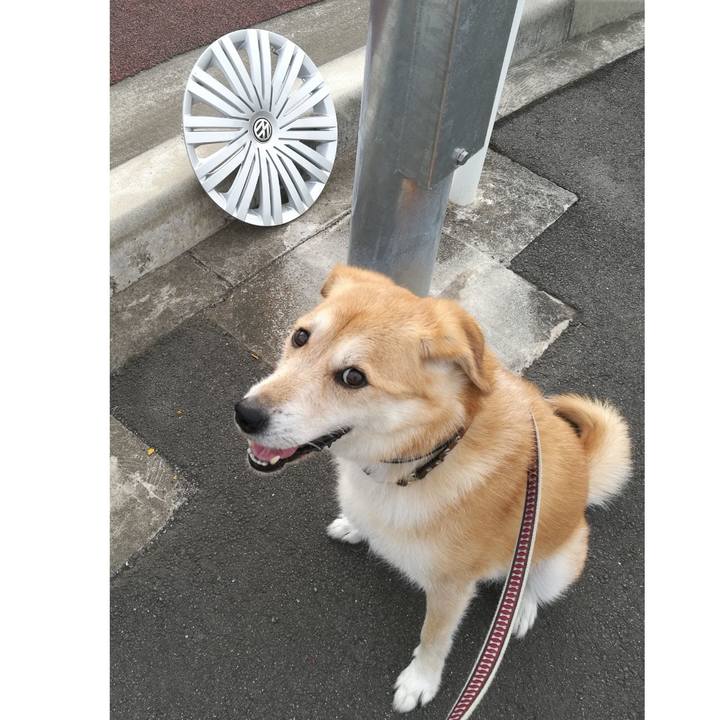 066ad781 bbfe 4259 99d7 addeb61ecc74 1532641623133