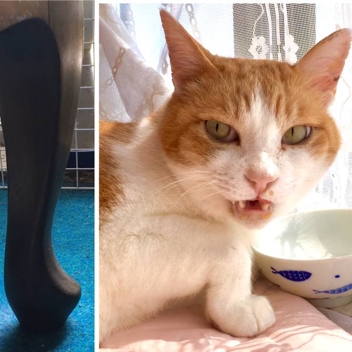 066adea0 2c99 48e7 b325 cdf91706ace9 1588316363528