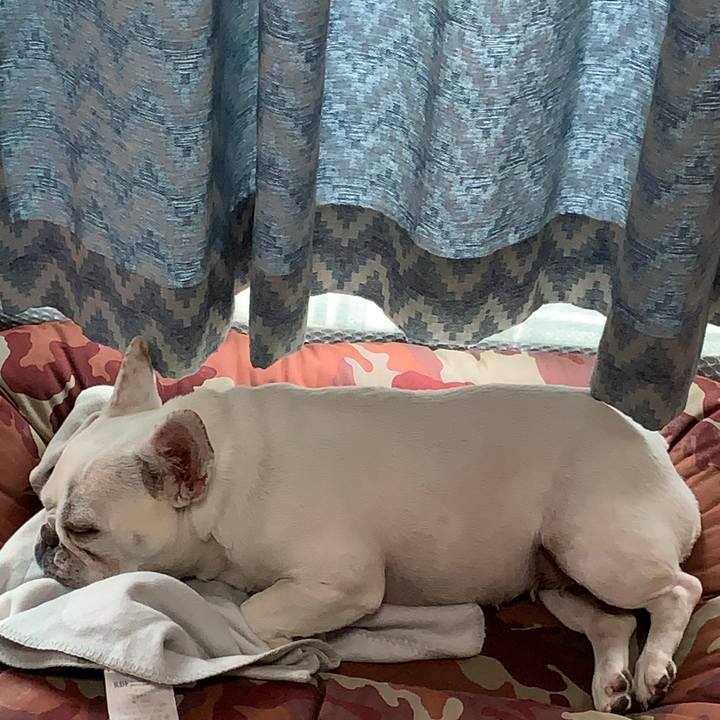 066b063d 1f98 45b2 b335 d135191cb7fe 1718438575529