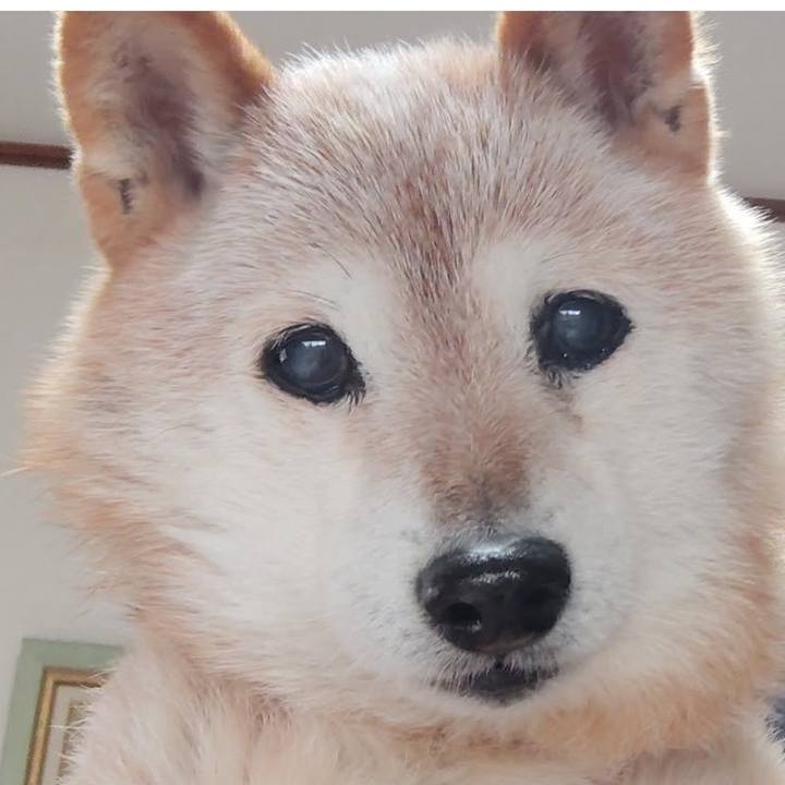 066b0cc6 03d2 4de3 b24c efb64d9a4474 1768810364296