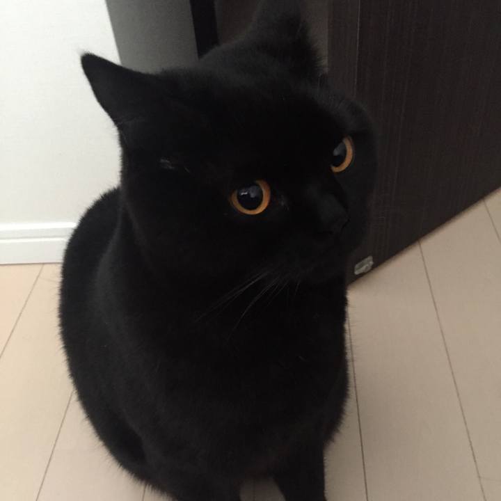 066b131b 2652 4a0f a990 a85d310e96f1 1523525015223