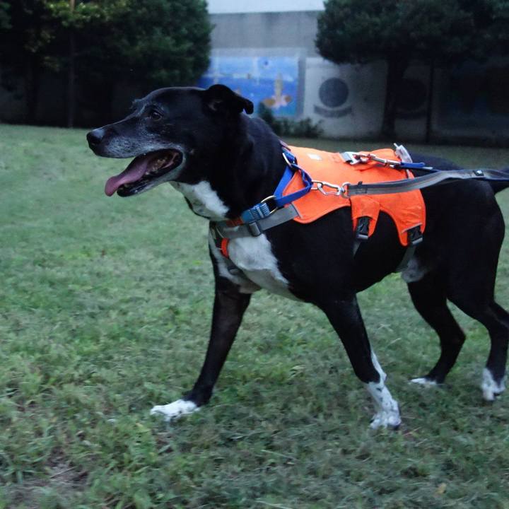 066b5d49 e5d5 4aa9 b782 20adbe401159 1751884397715