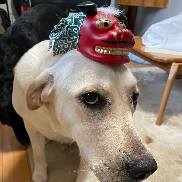 066b6213 0c8c 49e2 a5ca 830bd9516e19 1639717872323