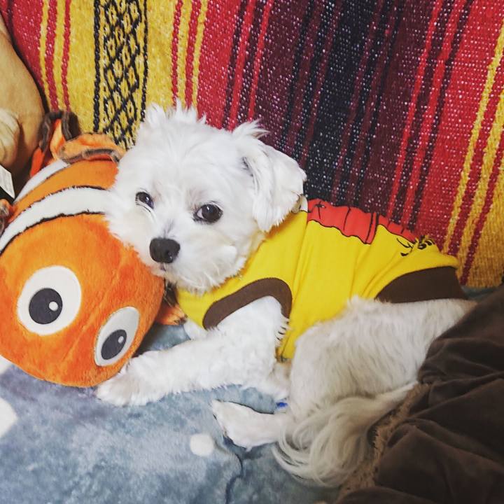 066b9007 0985 4183 bb55 88af08c0a965 1634639927887