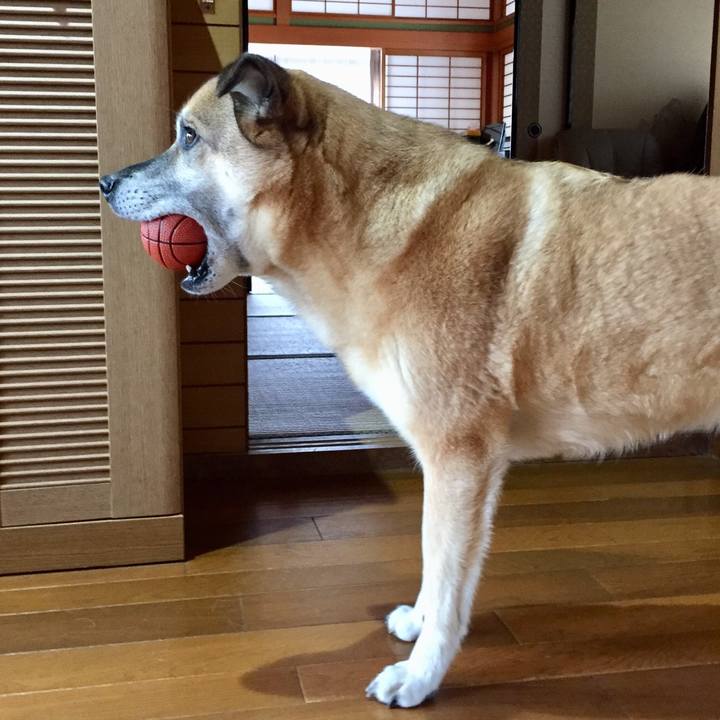 066bb857 a9c1 4f7a 95ca 793f41d33c6e 1554115289077