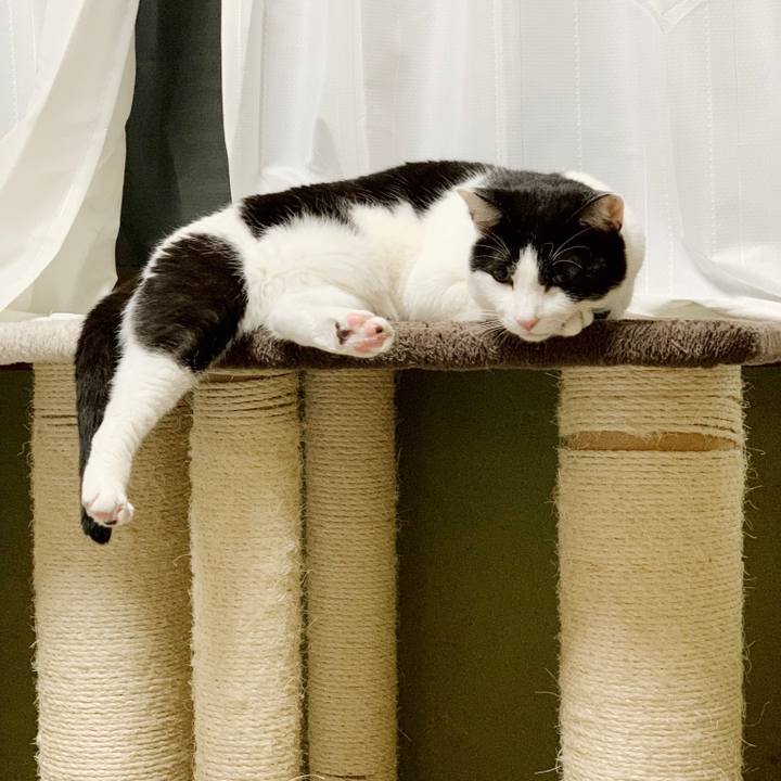 066bf17c 70a0 44f4 8c88 685a5d516f84 1551318621248