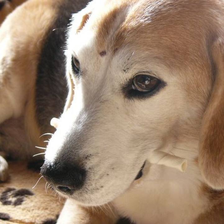 066bf4b5 0413 4a9b a133 238e612e9f68 1674351603771