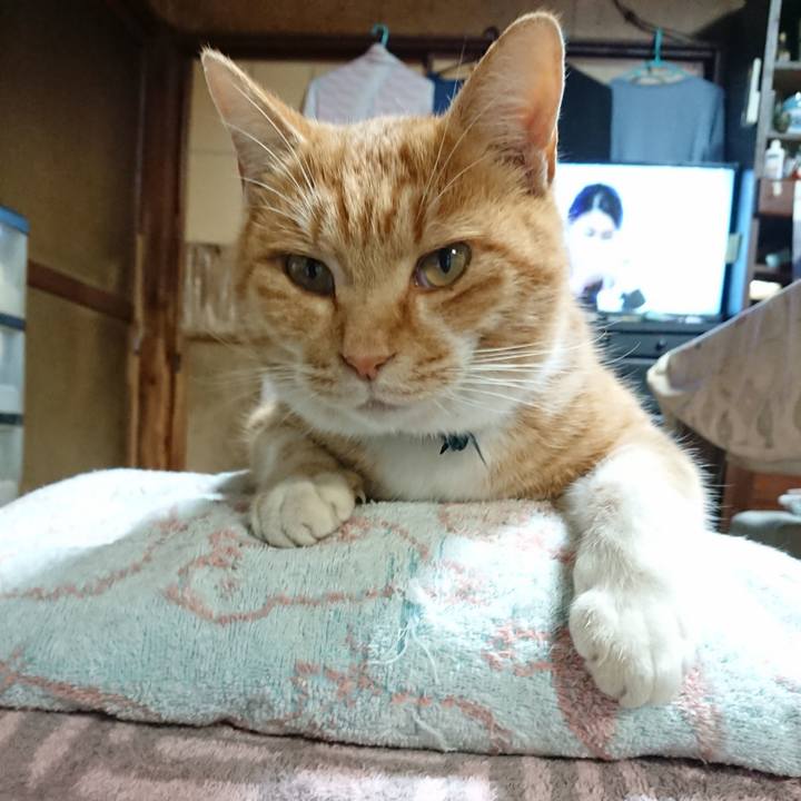 066c0638 9f5c 4a70 b7e6 8259d08241a4 1606900773364