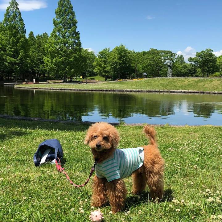 066c0982 e5e9 429e 9387 e616193cfb3e 1590542948065