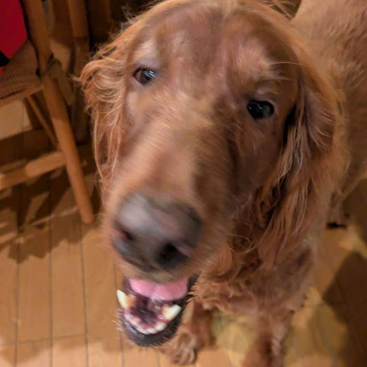 066c4727 4e18 4da9 9ab2 f6c7ae632a87 1756558836753