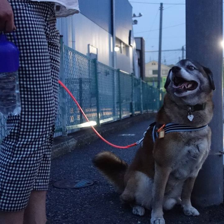 066c6160 a044 4861 969c 61274a09d6e5 1526641245715