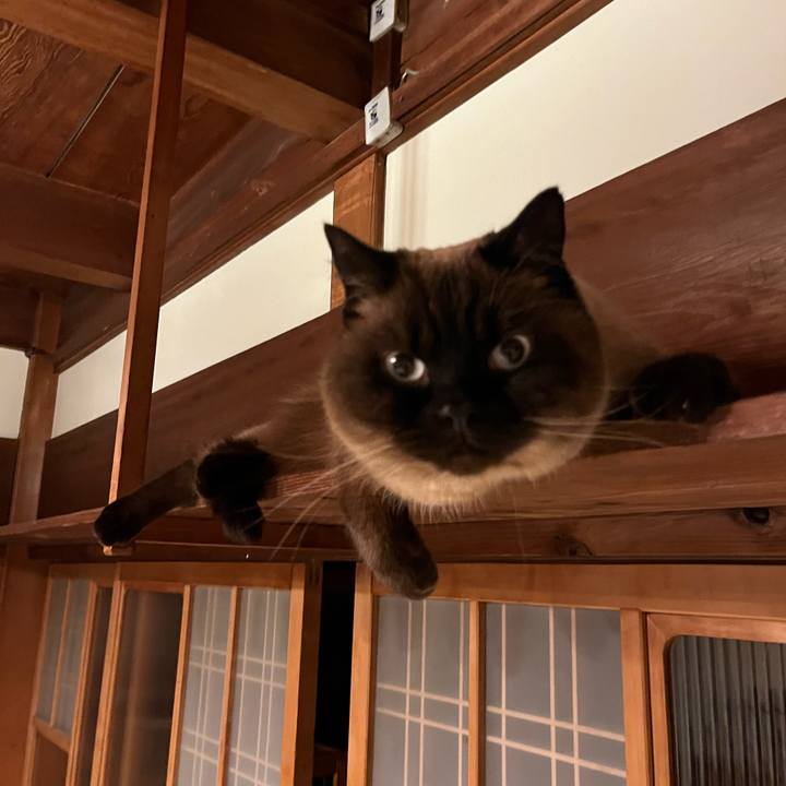 066c6bf3 014c 458c b85d 5527fd667ab4 1710158206933