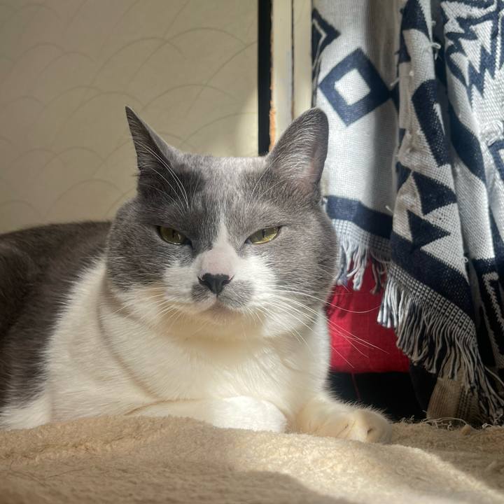 066c7072 8116 440a bca0 3fcef28a98c9 1736570335975