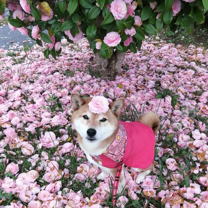 066ca5ba 7a43 4032 b481 6d3c94f3425e 1679642687996