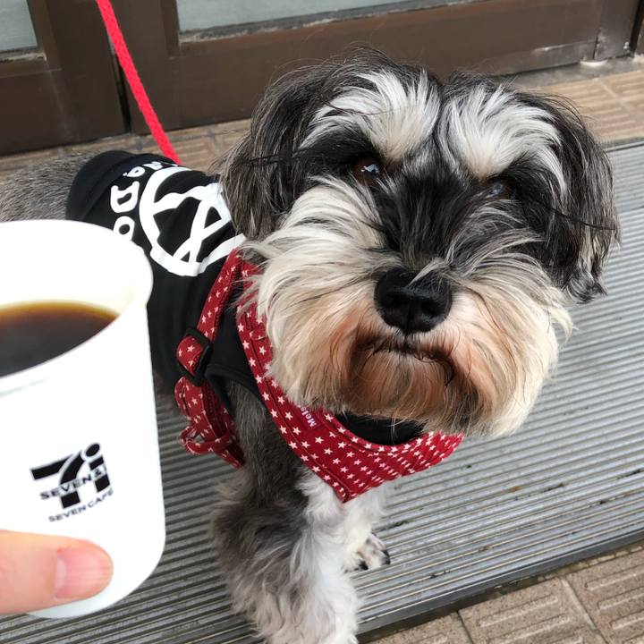 066cba3c ef06 4769 88ff f90fe6e7adaf 1547306674568