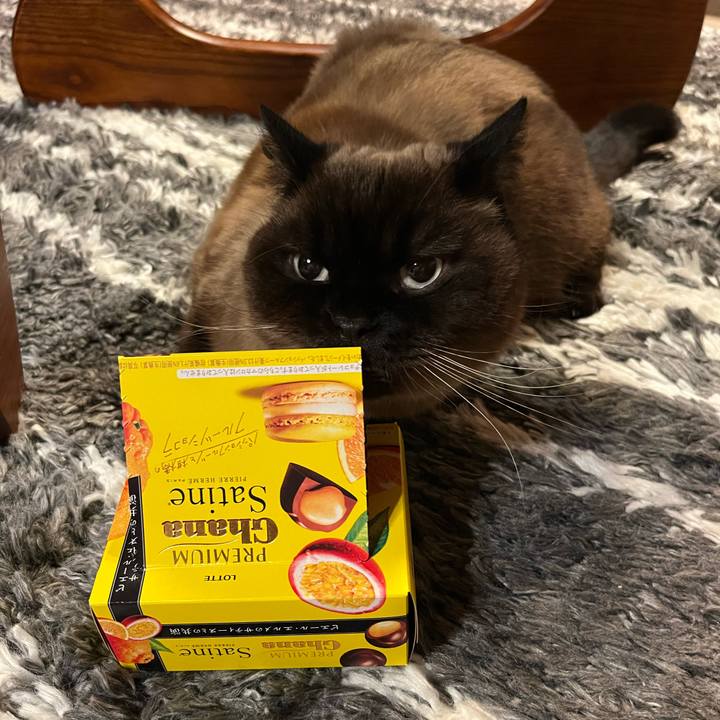 066cbb1d 01c6 4296 9b0d 9ecbf316338d 1743932326700