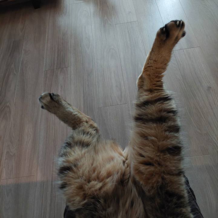 066ccfd0 1a8f 42a7 95eb dc85ac4a7b0d 1732777623477