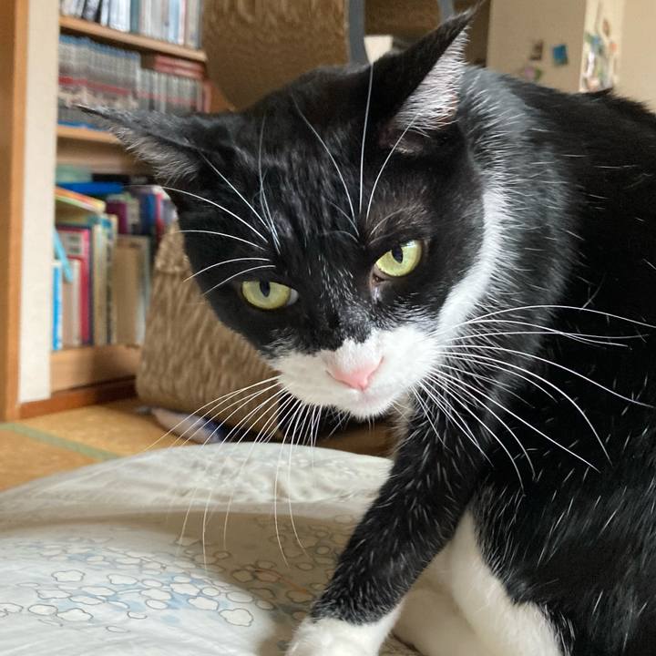 066ccfee e99e 4648 9c1d f481ec9e04a4 1653201548245