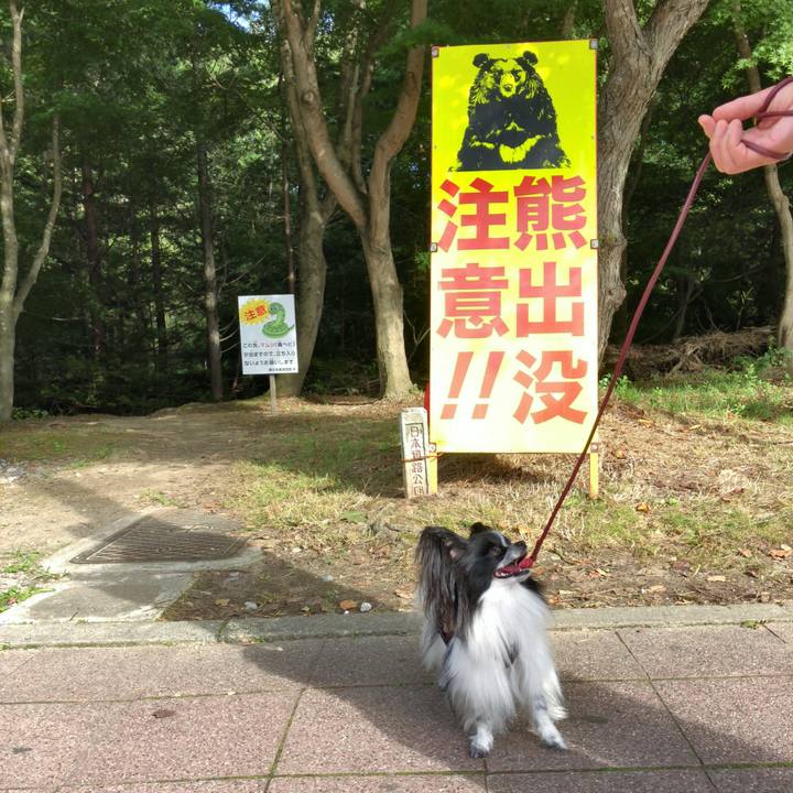 066ce5bd 3114 417c 8ba7 8d6cd58c87dc 1534667083994