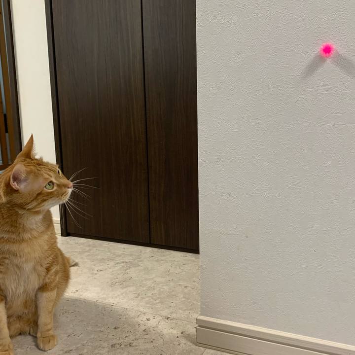 066cf4be cf5e 4054 9492 5e18dac05542 1623484416748